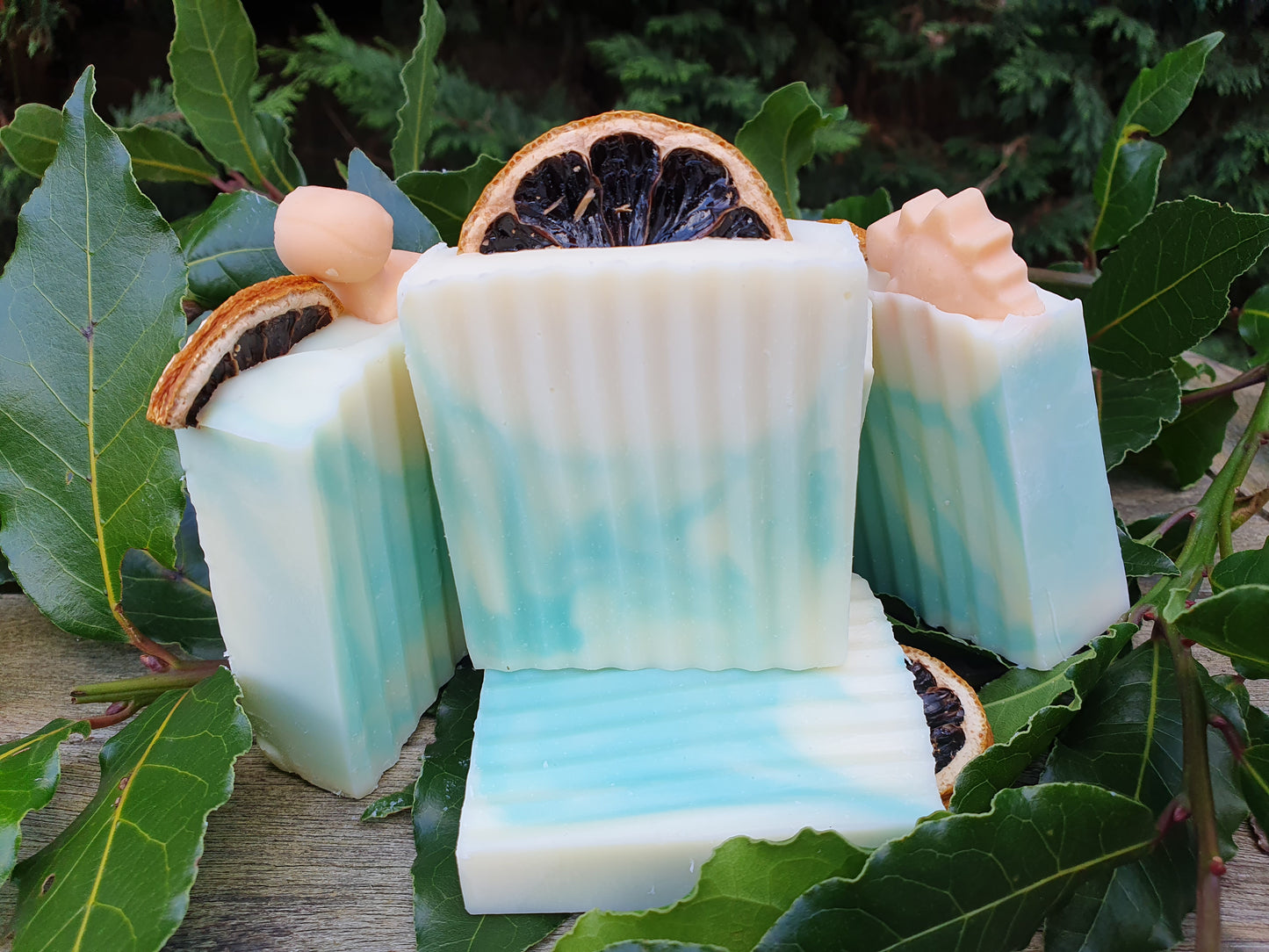 Sweet Fennel Soap