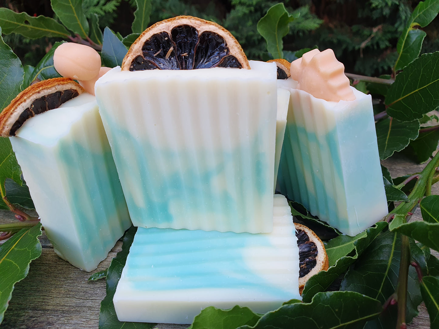 Sweet Fennel Soap