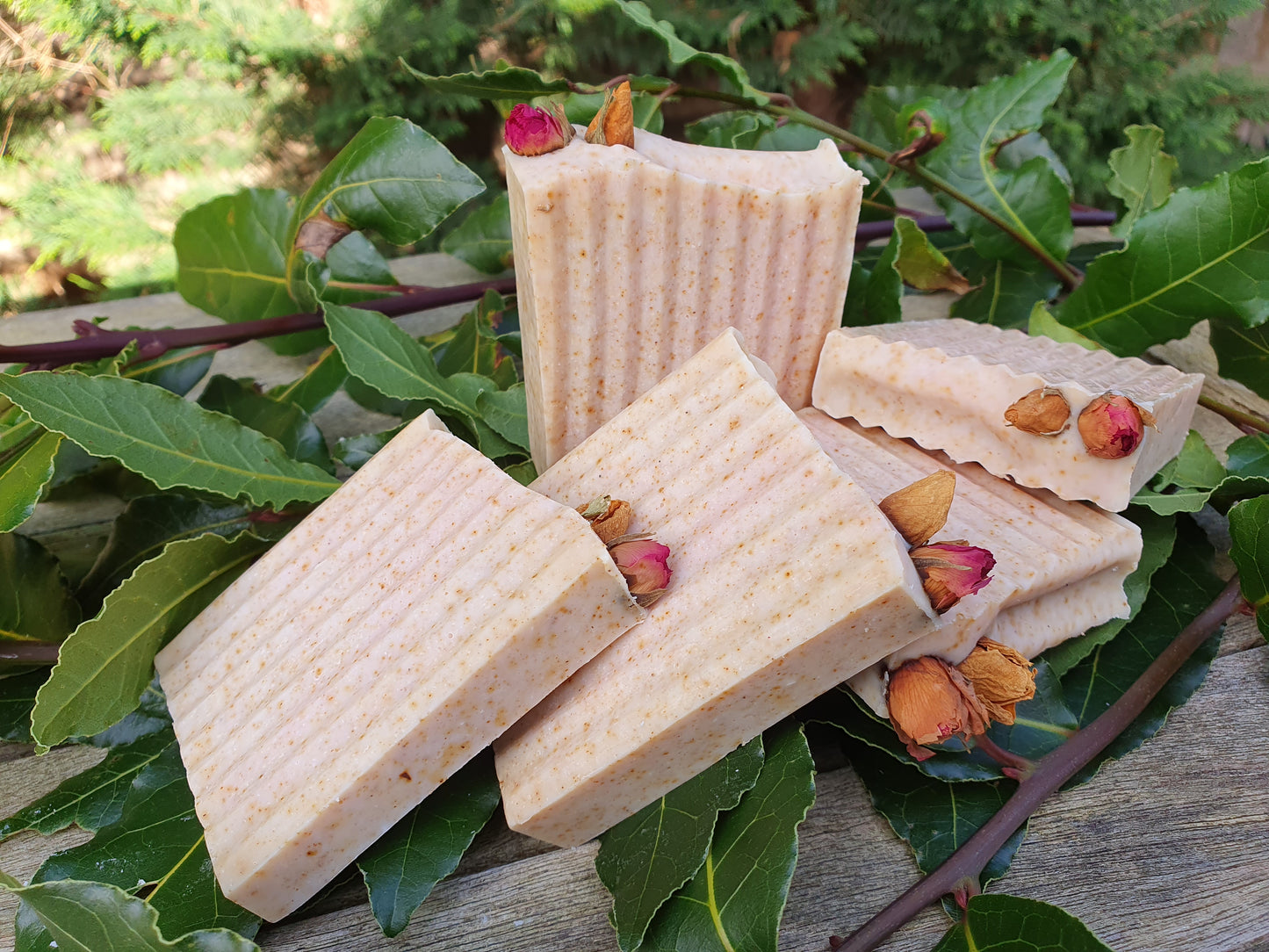 Tea Tree & Rose Powder Soap Bar