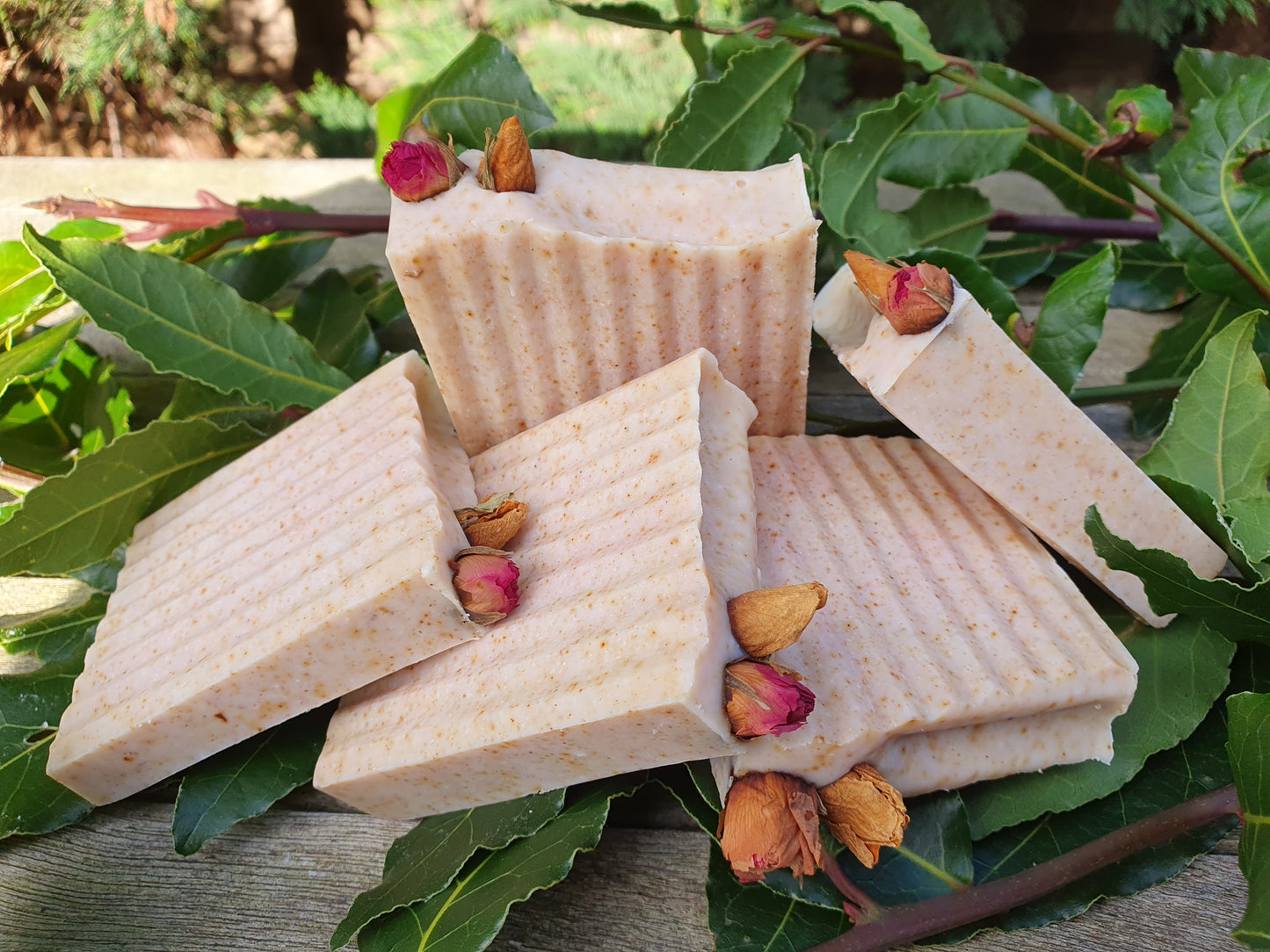 Tea Tree & Rose Powder Soap Bar