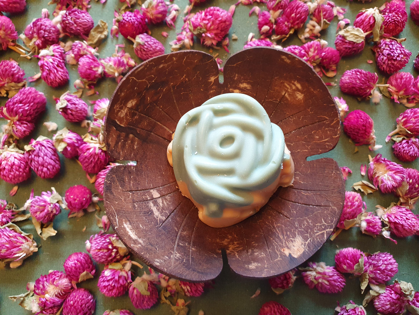 Coconut soap dish