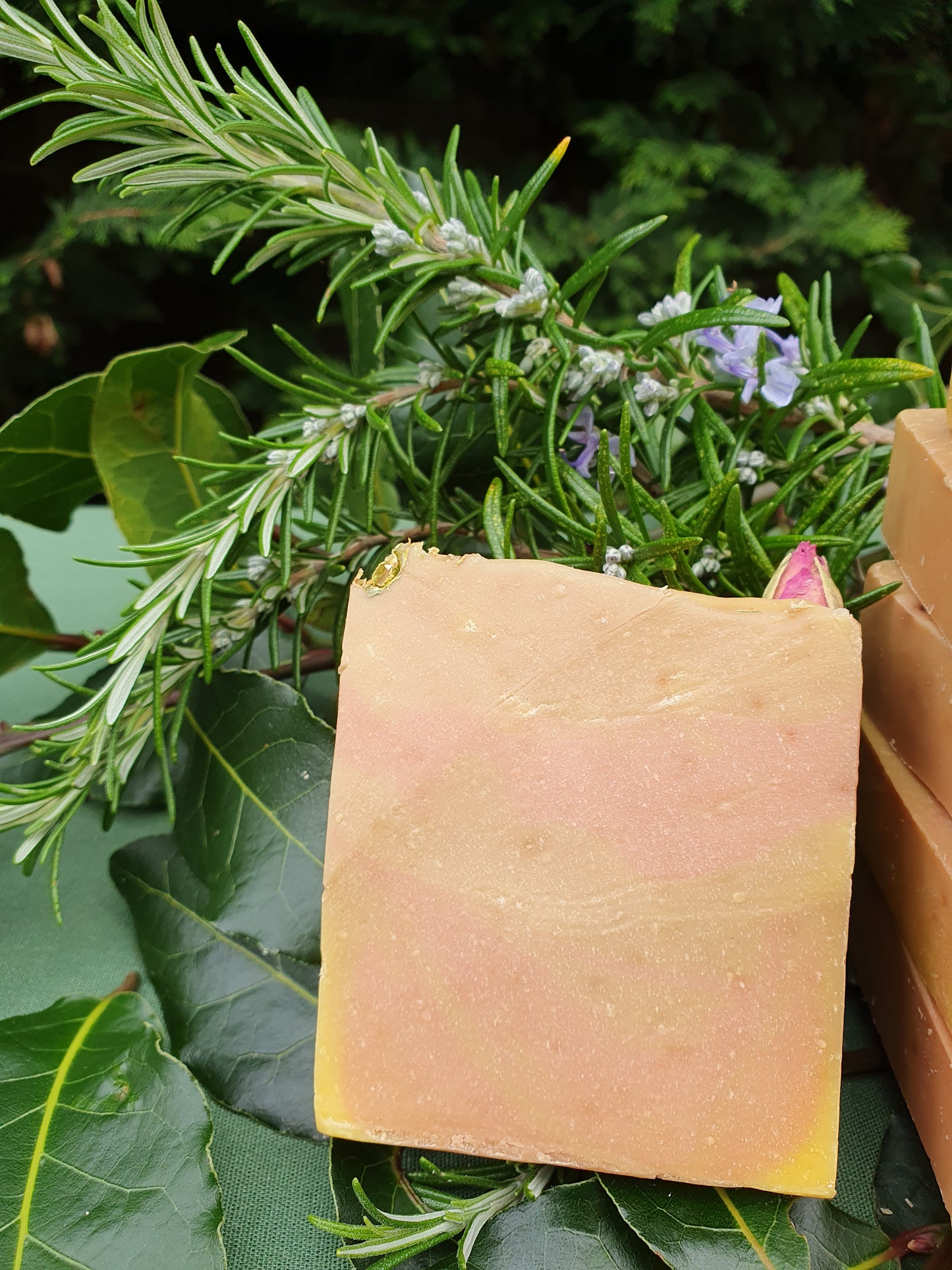 Peony & Vanilla Soap