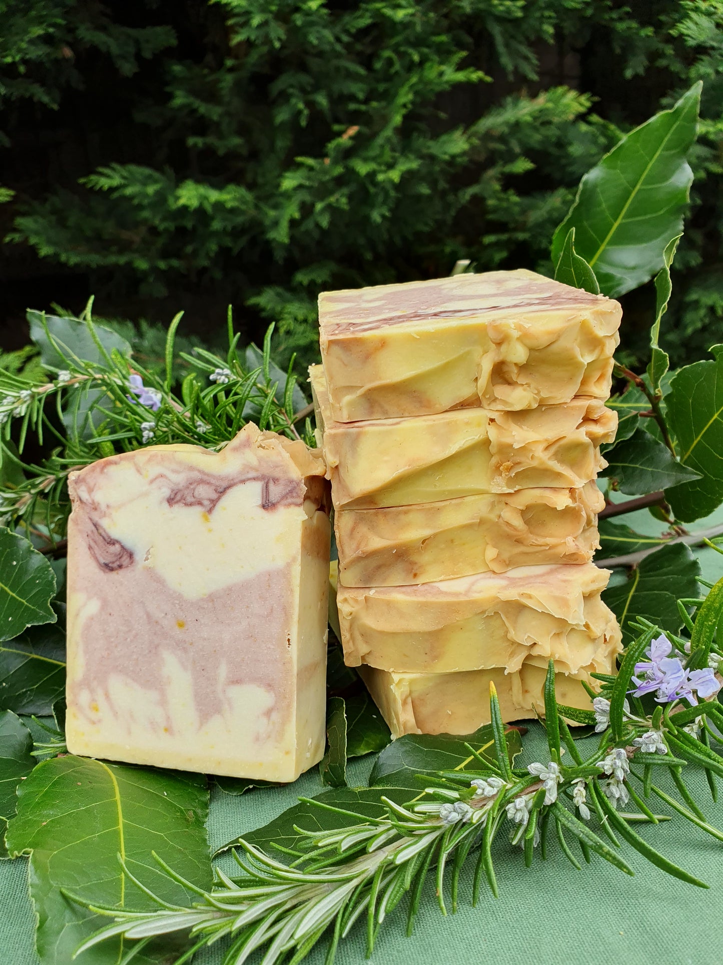 Sandalwood, Cocoa butter Soap