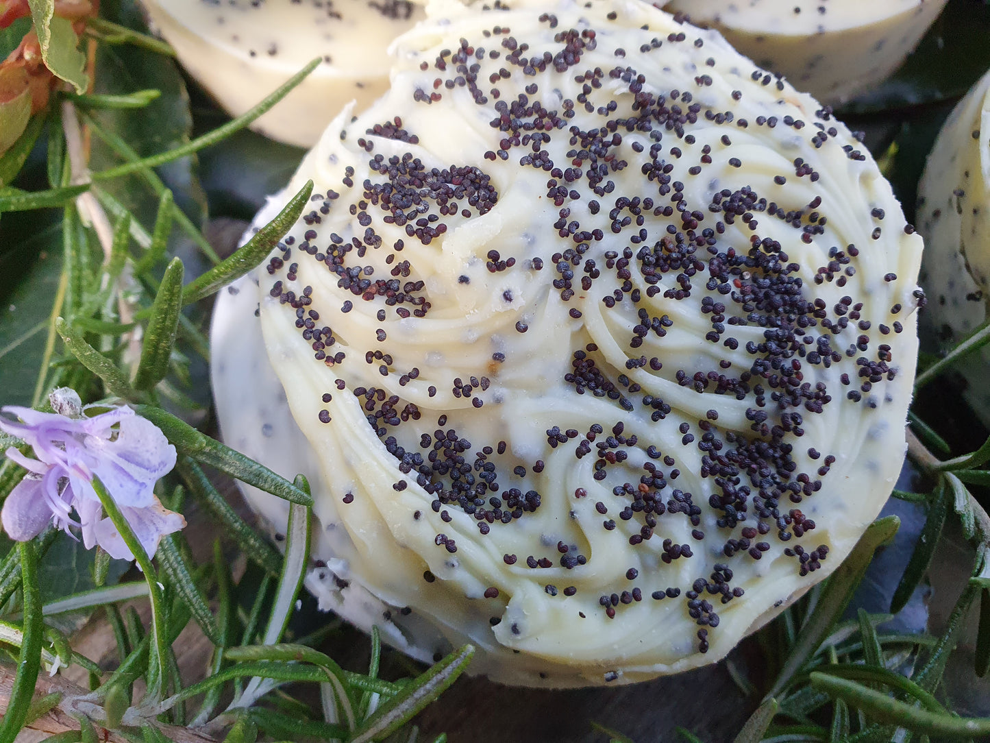 Poppy Seed Scrub Bar