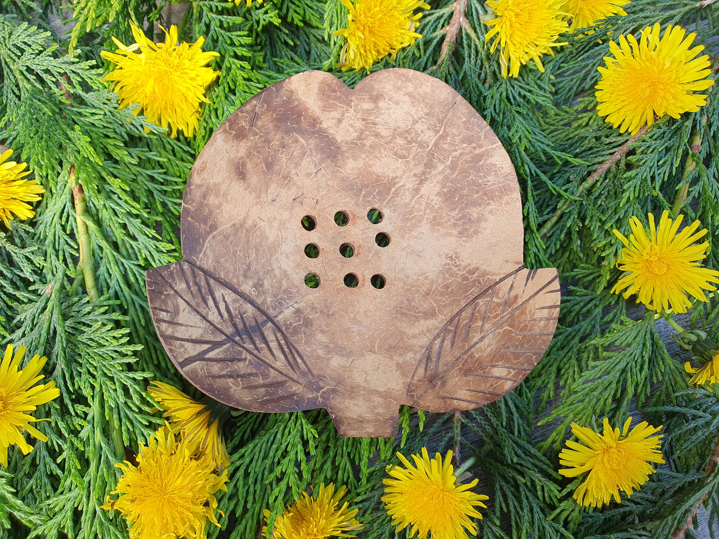 Coconut soap dish