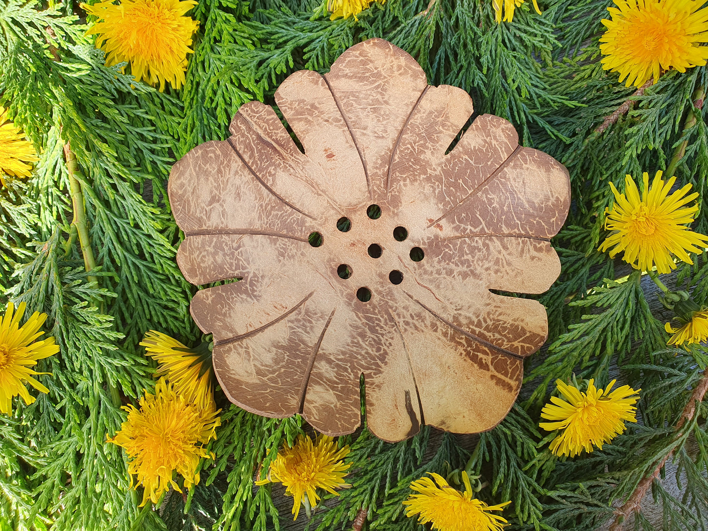 Coconut soap dish