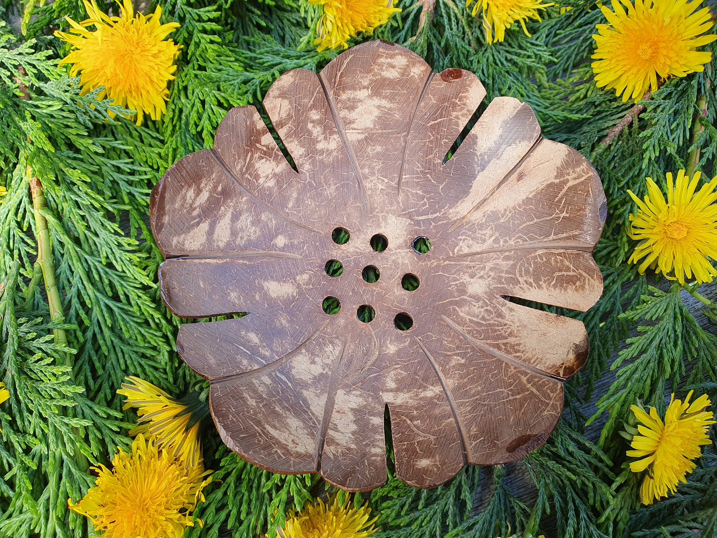 Coconut soap dish