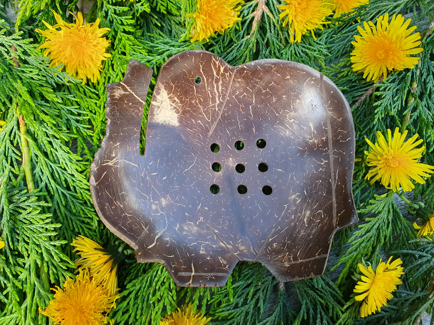 Coconut soap dish