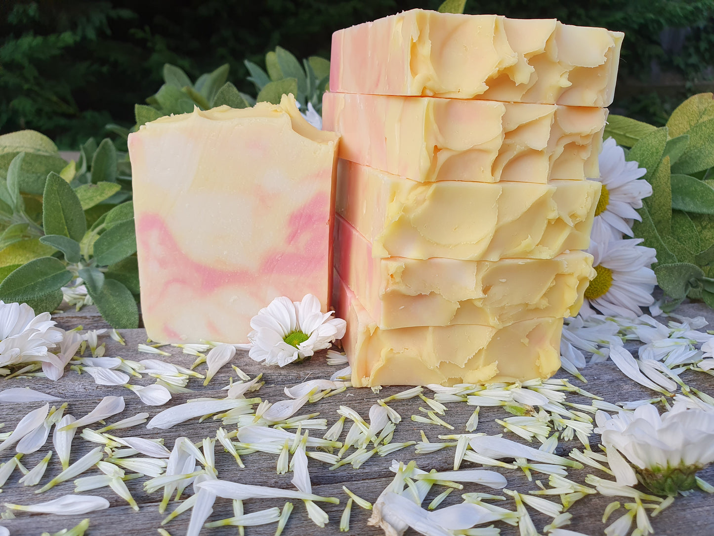 Lemongrass, Ylang-Ylang and Clove Soap Bar