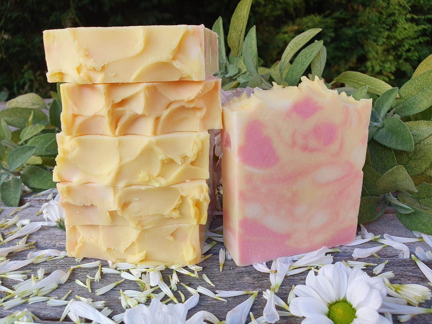 Lemongrass, Ylang-Ylang and Clove Soap Bar