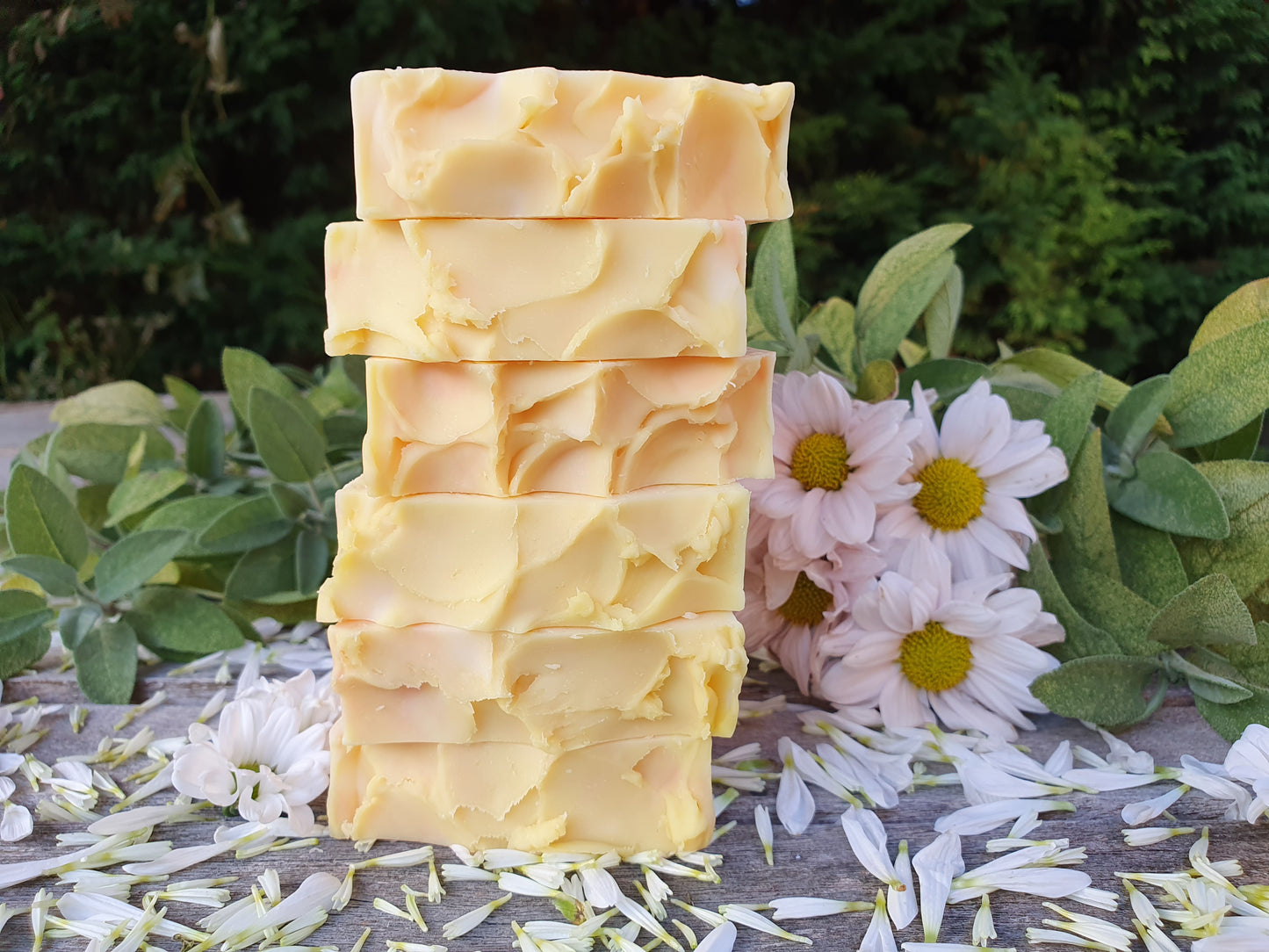 Lemongrass, Ylang-Ylang and Clove Soap Bar