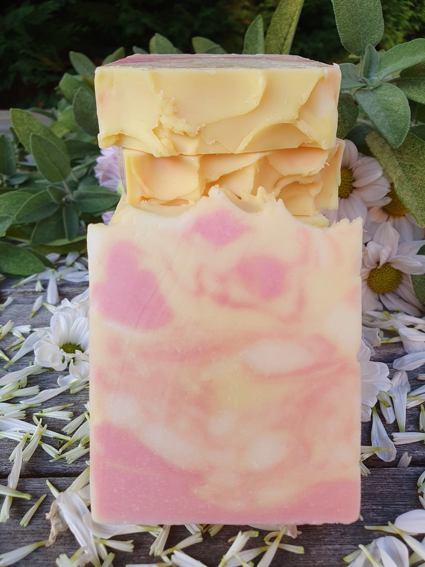 Lemongrass, Ylang-Ylang and Clove Soap Bar