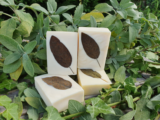 Sage Soap Bar