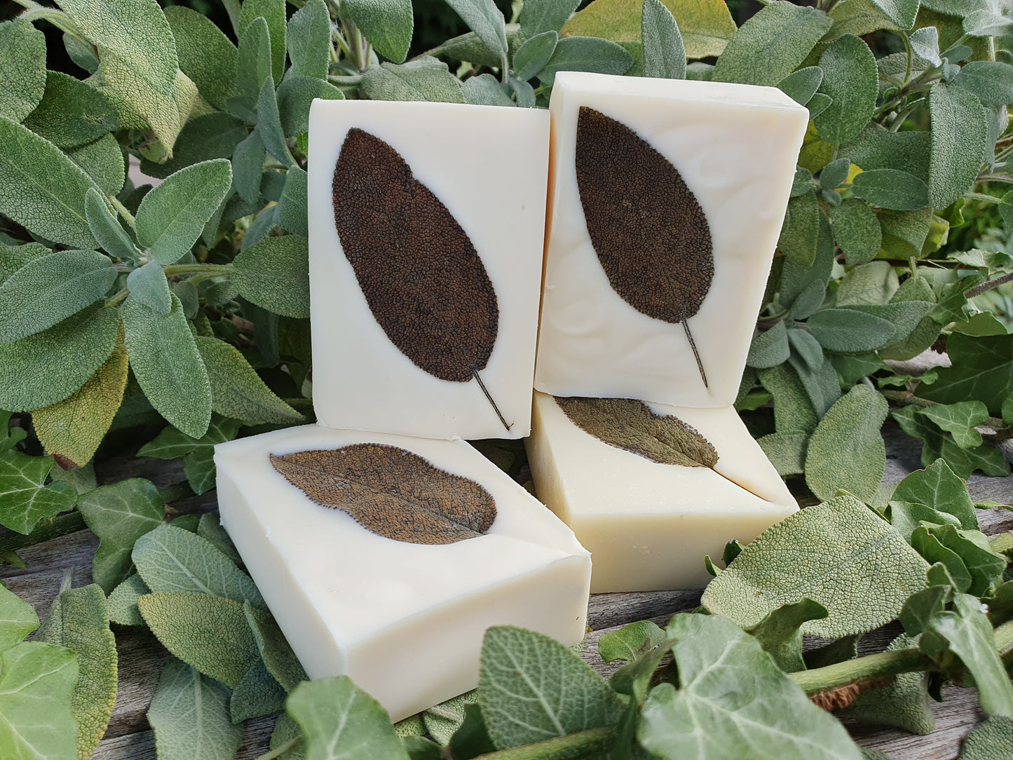 Sage Soap Bar