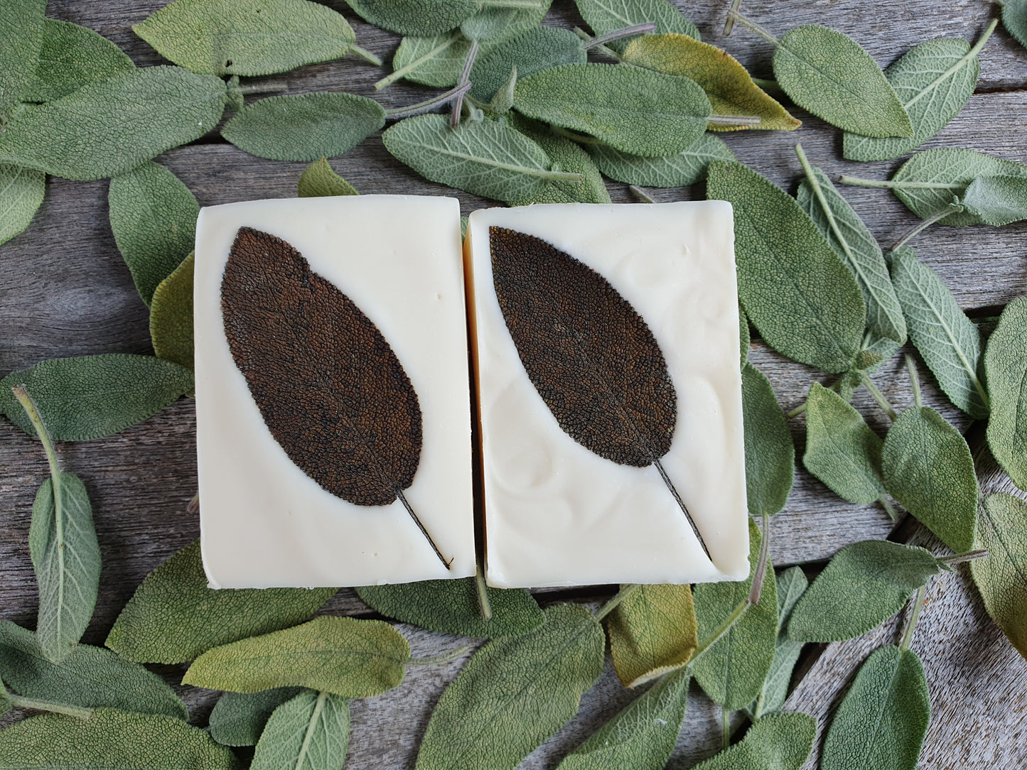 Sage Soap Bar