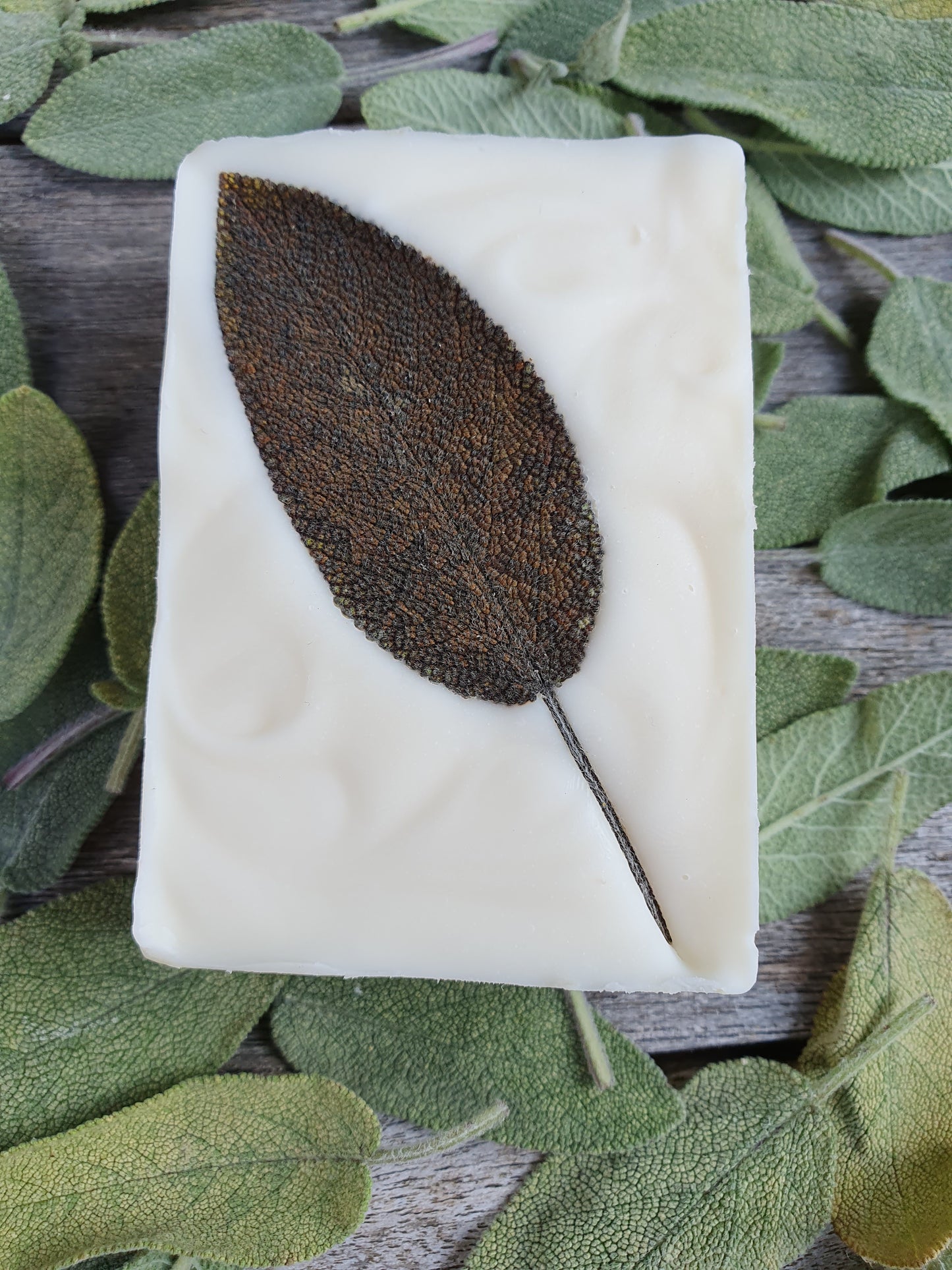 Sage Soap Bar